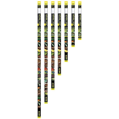 Exo Terra Reptile Natural Light ���������������� ����� ��� ���������� Exo