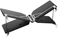 ������������ (����) Parrot Swing