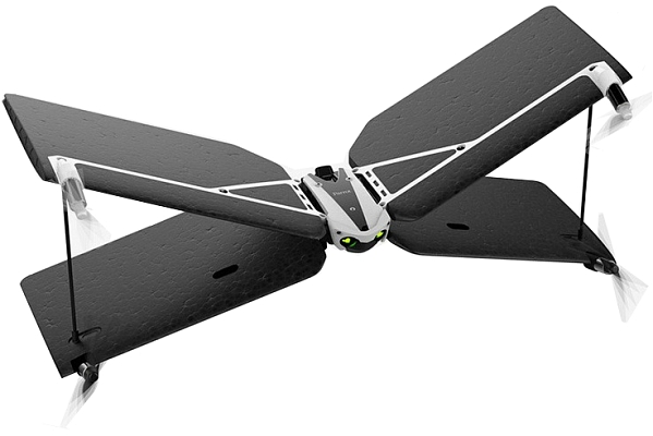 ������������ (����) Parrot Swing