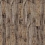 ������� Tarkett Timber Forester ��� �������