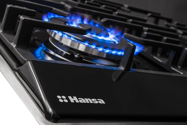 �������� ����������� Hansa BHGS61139