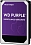 ������� ���� WD Purple [WD40PURX]