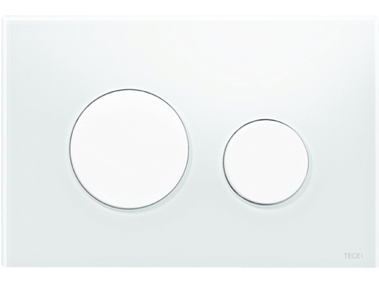 ������ ����� TECEloop �� ������ ������ (���� ������ �����)