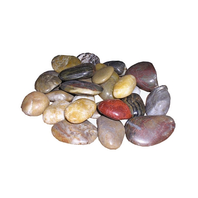 �����-������ ����������� ���������� �������, 1��