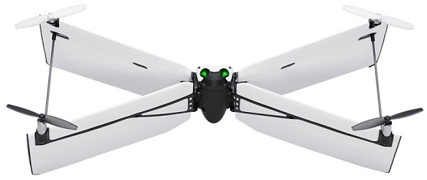 ������������ (����) Parrot Swing