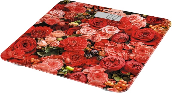 ���� Maxwell MW-2666