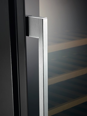 ������������ ������ ���� AEG SWB 66001 DG