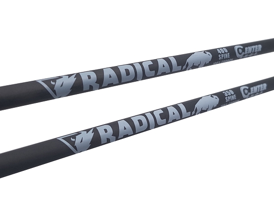 ������ ������ ���������� Centershot Radical 400 �������� Blazer 3&quot