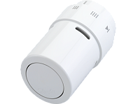 ���������������� ������� (�������) RAX � ���������� �����������, �����