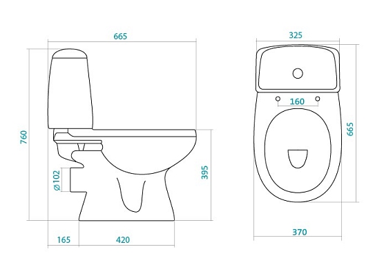������ Santek Tsezar WH301746