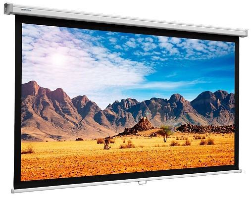 ������������ ����� Projecta SlimScreen 1:1 [SlimScreen 125x125]