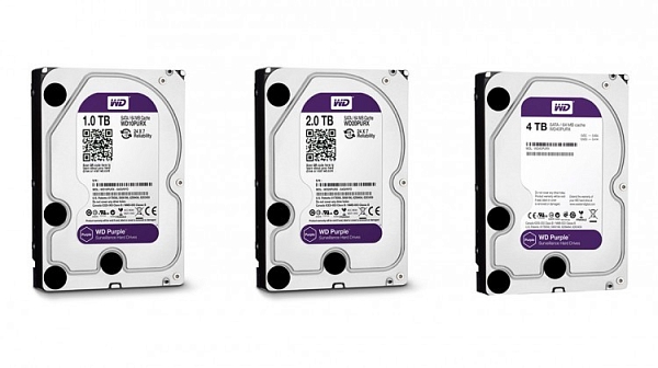 ������� ���� WD Purple [WD60PURX]