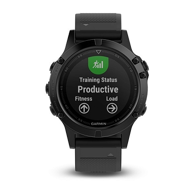 ������� ������ Garmin Fenix 5 Sapphire
