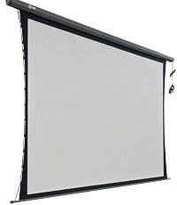 ������������ ����� CACTUS Professional Tension Motoscreen [Professional Tension Motoscreen 299x168]