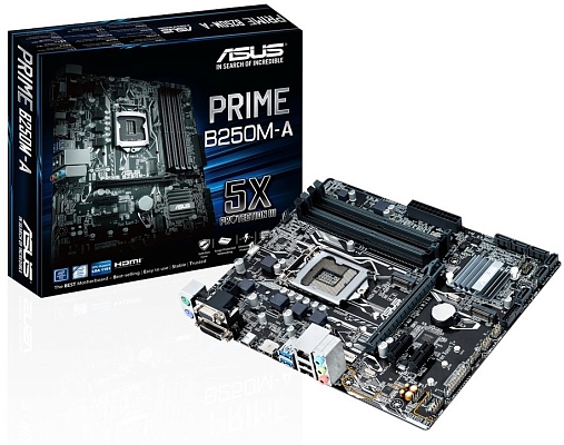 ����������� ����� Asus PRIME B250M-A