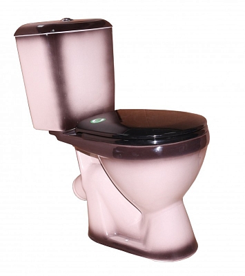 ������ Rosa Lira