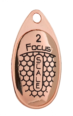 Mikado ������ ����������� Mikado Focus �1 ���� 25
