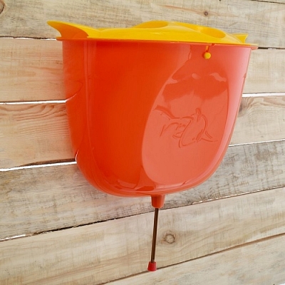 ����������� ����������-���������� ��� ������� � ������� 7 ������ "������"