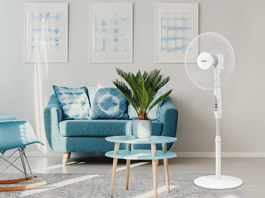 ���������� ��������� Ballu BFF - 810R