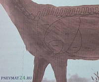 ������ �������� (1x1,5 �)