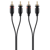 Belkin F3Y098bf1M
