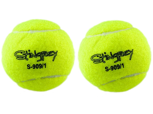 ��� ��� �������� ������� Stingrey 2 ��, �������������� �������� FBT231-2