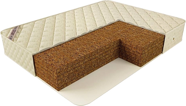 Virtuoz Paradiz [80x190]