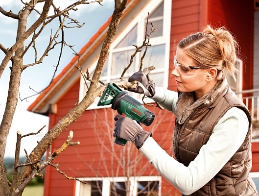 ������������� Bosch EasySaw 12