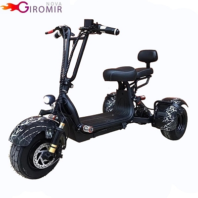 ������������� Citycoco GT Mini X3 500W 12Ah 48V