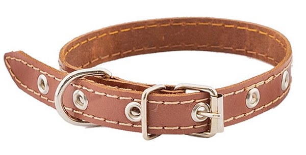 HOMEPET ������� ������� ������������� ������� ��� ����� Homepet, ������� �