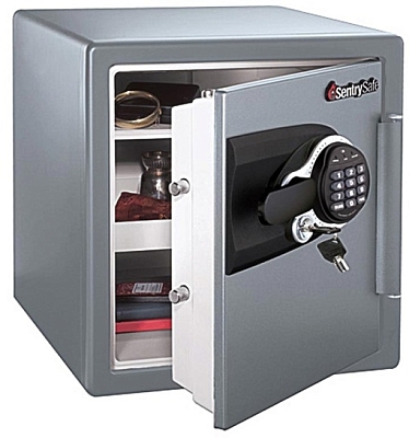 Sentry MS3817