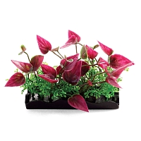 Laguna ���������� �� ����������� �������� ������������� �������� ��� �����