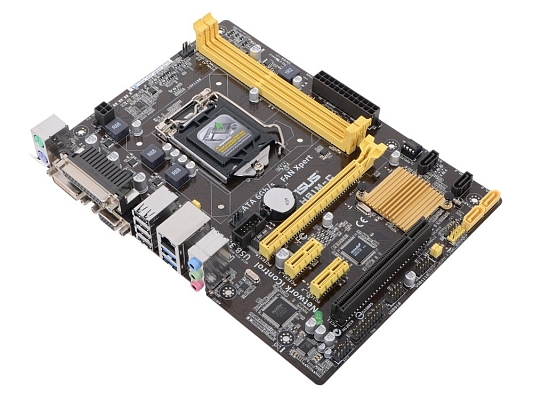 ����������� ����� Asus H81M-C