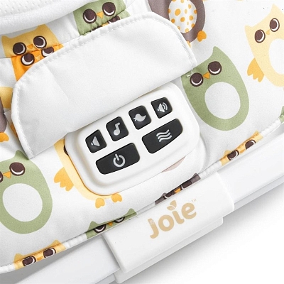 ������-������� Joie Dreamer