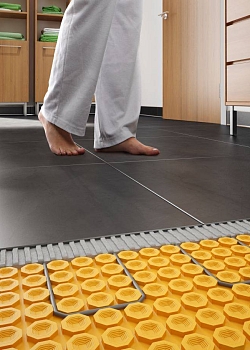 ������ ��� ������� ����