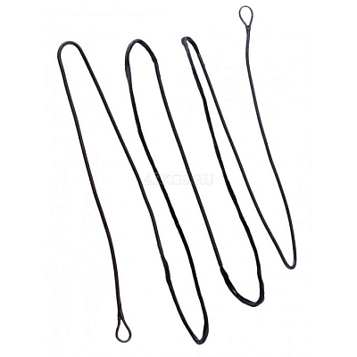 Bear Archery ������ ��� ���� Bear Authority