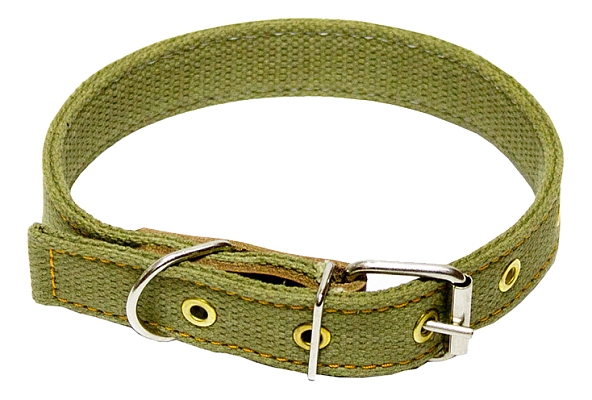 ���������������� ������������ ����������� ������� ���������������� ��� ���