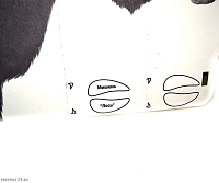 ������ ������ (1x1,5 �)