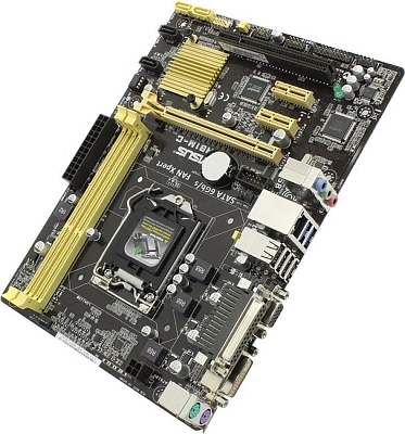 ����������� ����� Asus H81M-C