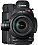 ����������� Canon EOS C300 Mark II