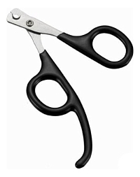 Hello Pet �������� ��� �������� ������� ����� ������� ��� �������� Hello P