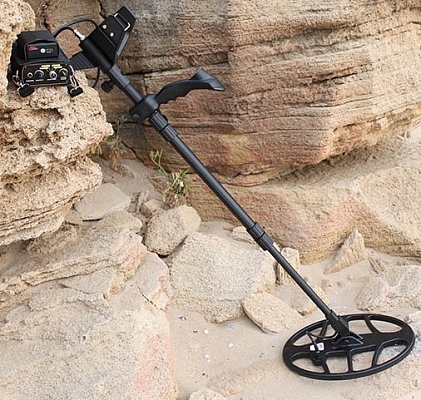 ��������������� Nokta Golden Sense