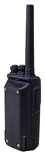 Argut A-55