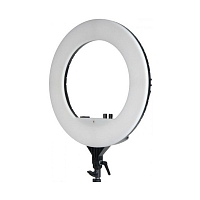 ���������� ��������� Falcon Eyes BeautyLight 240 LED