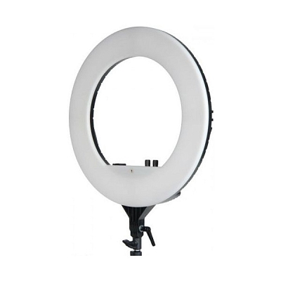 ���������� ��������� Falcon Eyes BeautyLight 240 LED