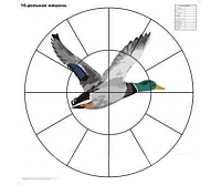 ������ ��� ���������� �������� ����� 16-������� ����������, 800x800 ��, 10