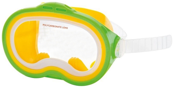 INTEX ����� ��� �������� Intex Sea Scan 55913, �� 8 ���, ������������