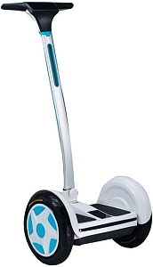 �������� (����������) W-motion Q6