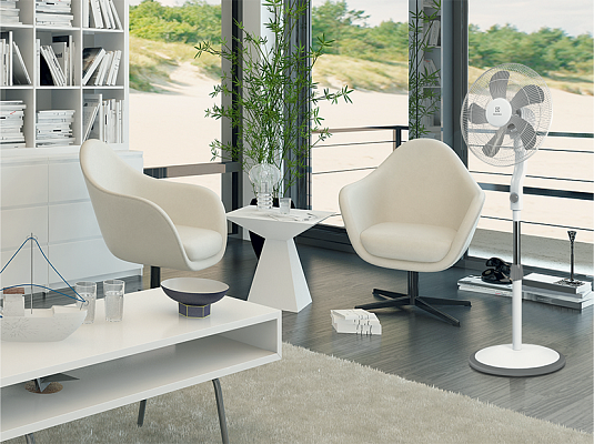 ���������� ��������� Electrolux EFF - 1003D