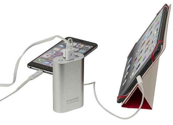 Powerbank ����������� RIVACASE Rivapower VA1010